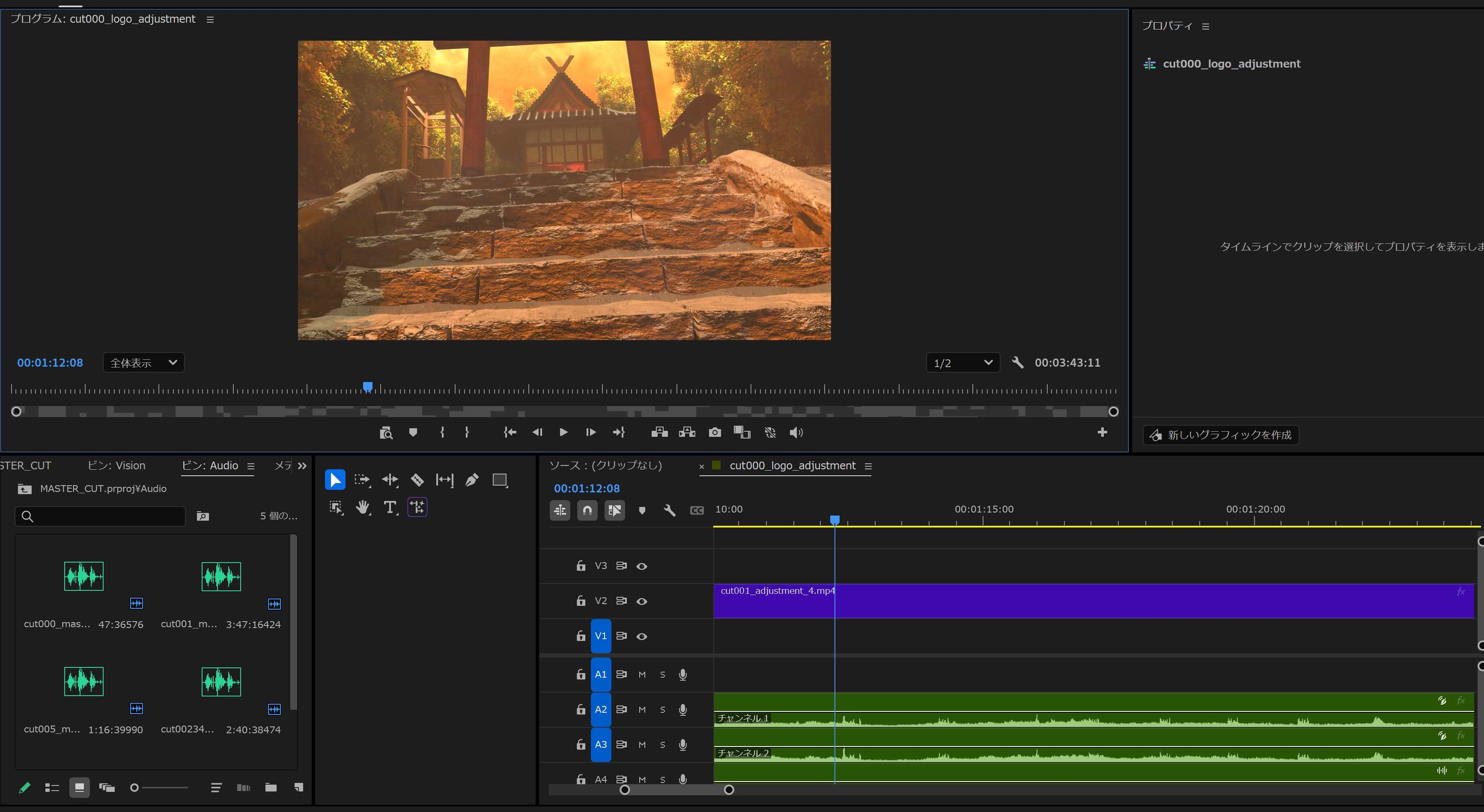 Adobe Premiere Pro Working View